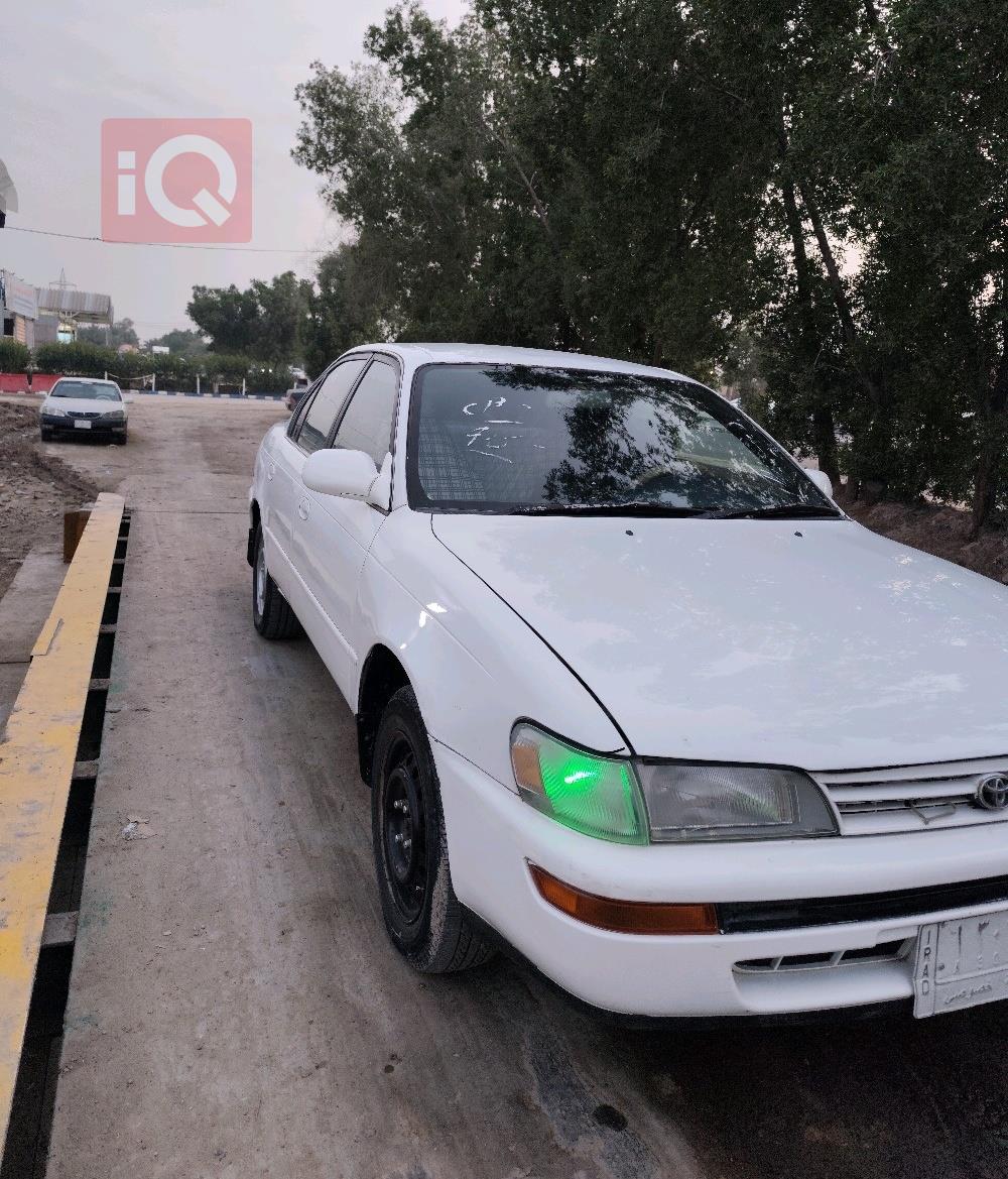 تويوتا كورولا